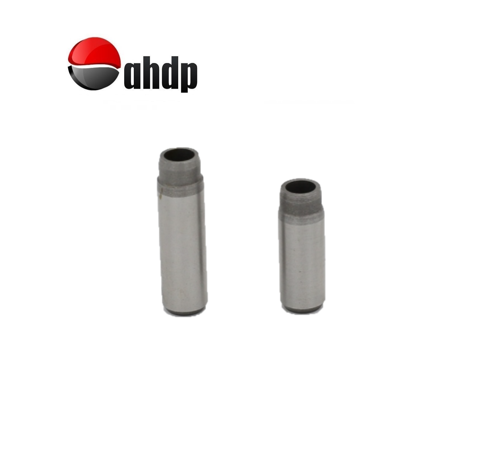 VALVE GUIDE SET IN+EX LOMBARDINI - LI014845218, LI014845219